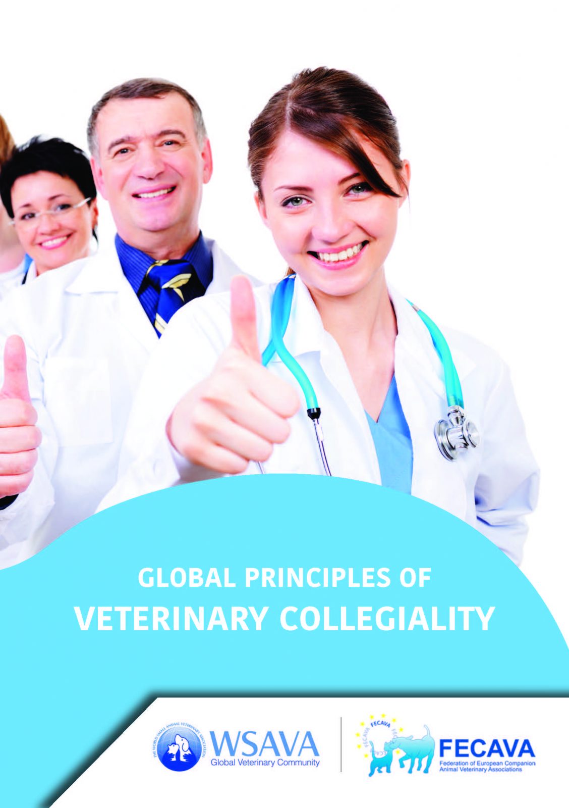 Global Principles of Veterinar Collegiality_WSAVA and FECAVA 1