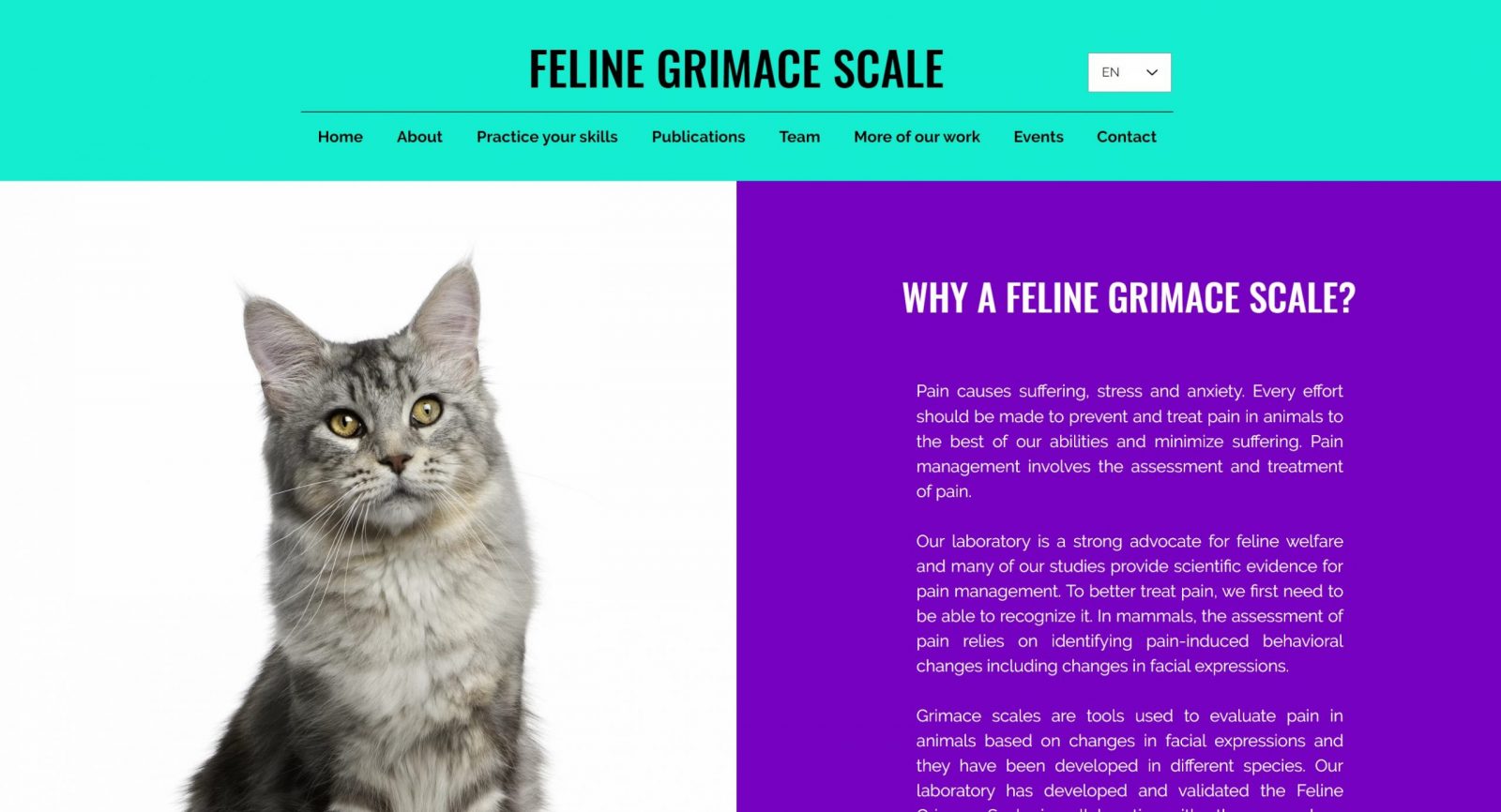 Meow, it hurts! Can owners recognize acute pain in cats using the Feline Grimace Scale?