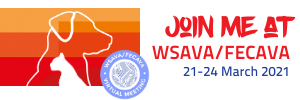 WSAVA Banner 300x100_virtual e-sig