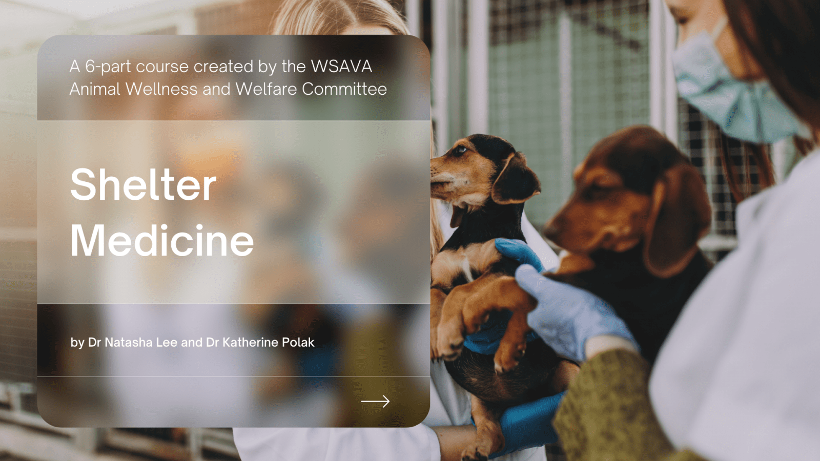 WSAVA Courses_Shelter Medicine (1)