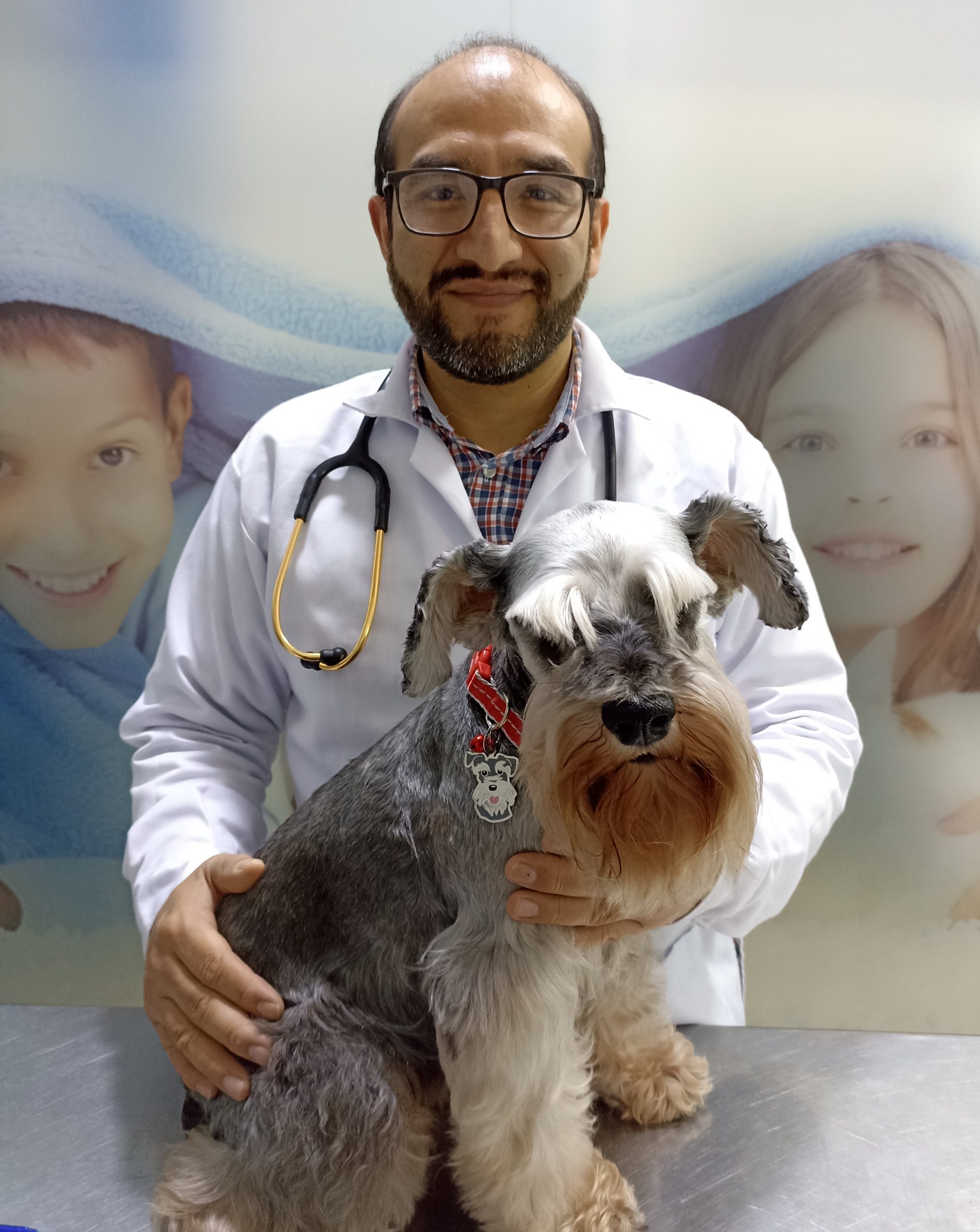 Meet Dr José Salazar, President of our member association in Peru – Asociacion de Medicos Veterinarios de Practica en Pequenos Animales (AMVEPPA)