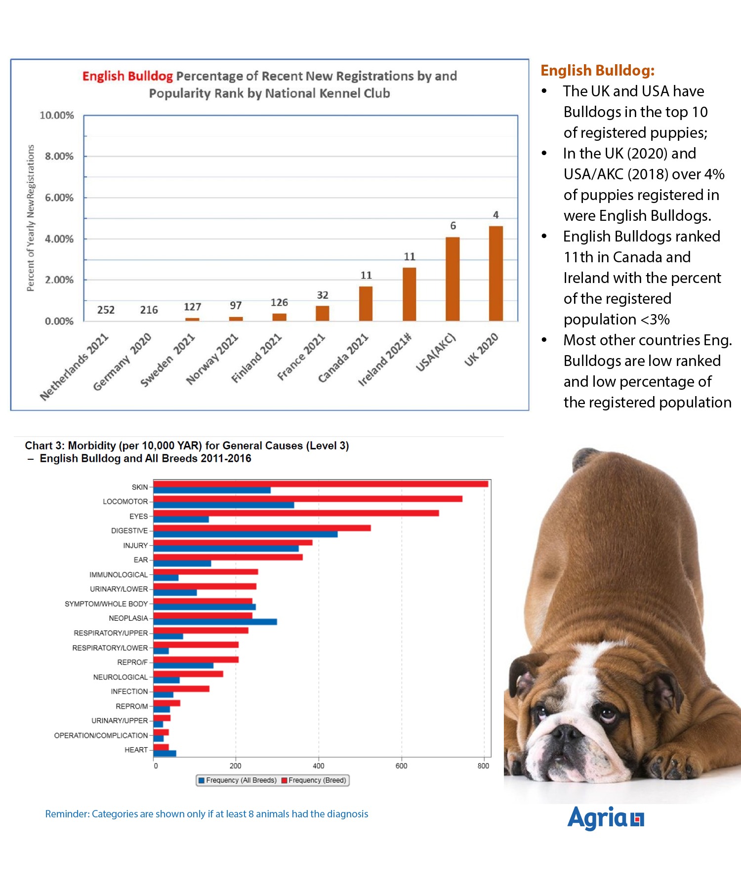english-Bulldog-WSAVA—chart-image