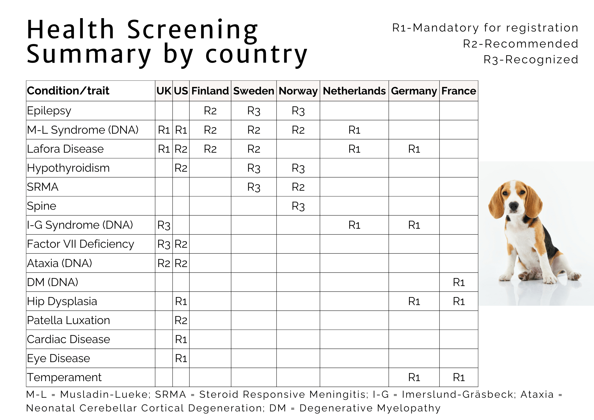 Health Screening Beagle 2